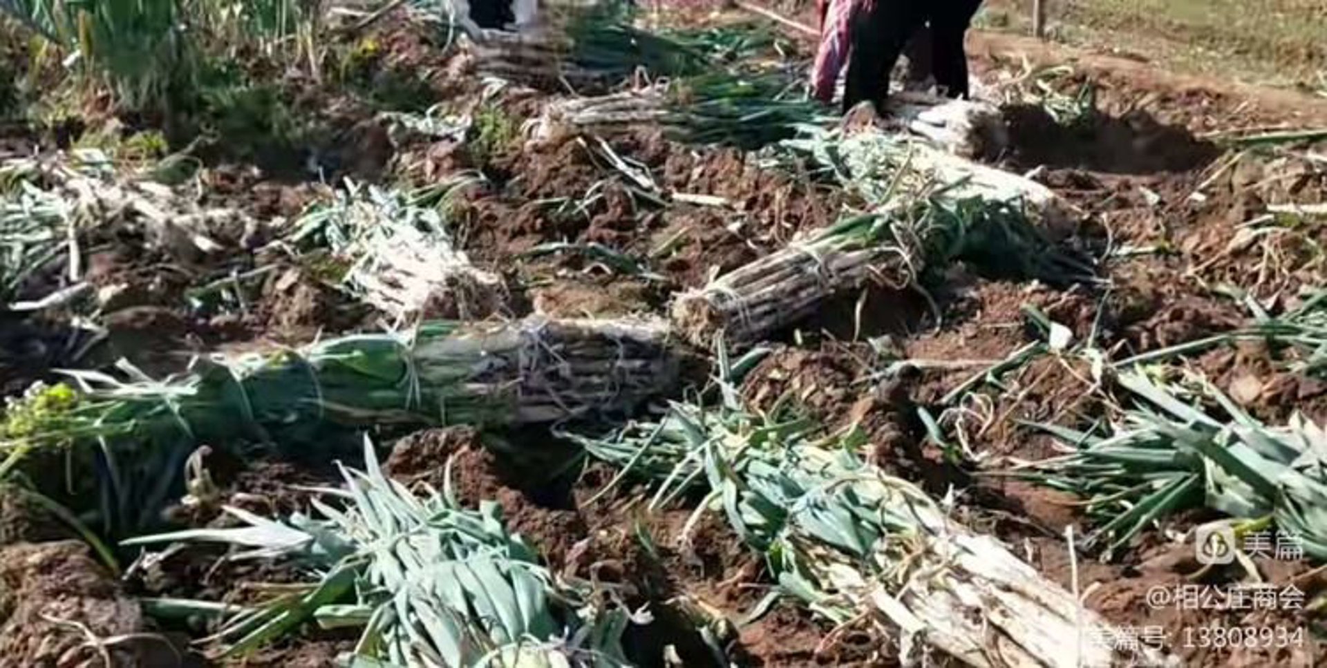迪鼎新材料
